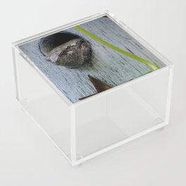 Funny tree frog in a birdhouse Acrylic Box