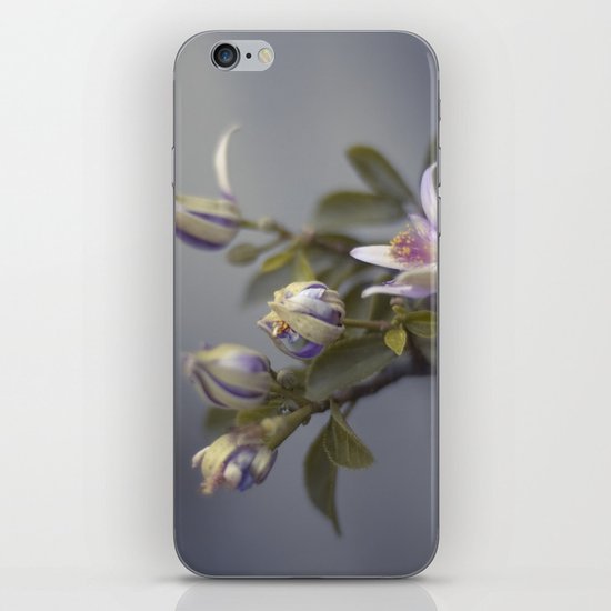 Margaret in captivity iPhone & iPod Skin