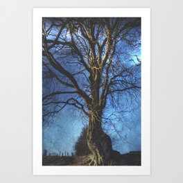 The old tree Art Print