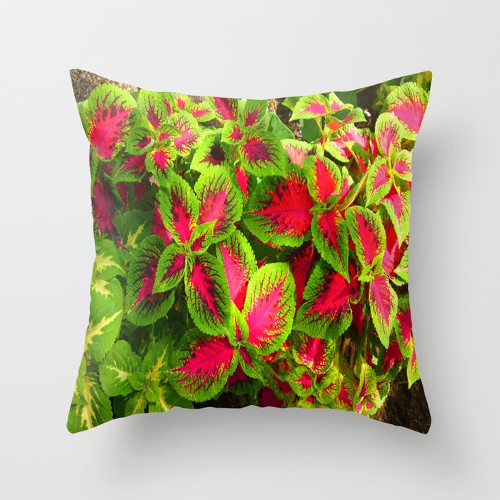 Pink Green Coleus Tropical Throw Pillow