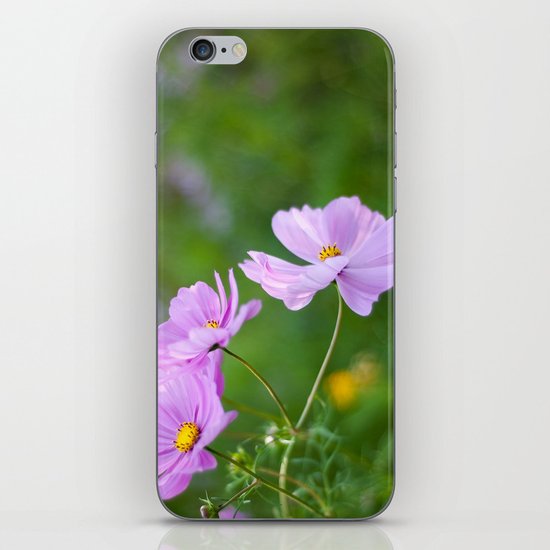 Cosmos iPhone & iPod Skin