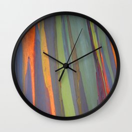Rainbow Eucalyptus Magic Wall Clock
