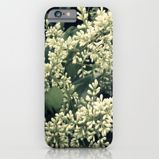 Ligustrum Blossoms iPhone & iPod Case