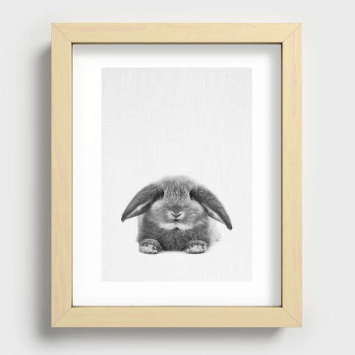 Bunny rabbit sitting Recessed Framed Print