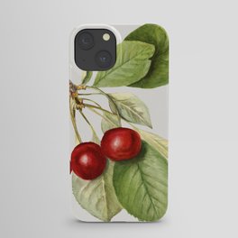 Vintage cherry illustration.4 iPhone Case