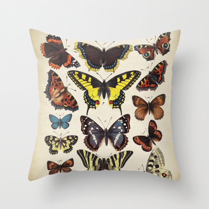 Butterflies Scientific Illustration, Butterfly Chart, Colorful Butterflies Throw Pillow