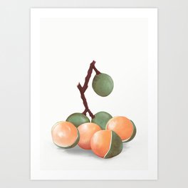 Quenepas/ Fruit Art Print