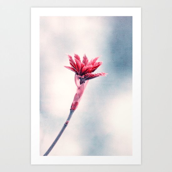 curiosity Art Print