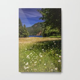 Field of Daisies and Lake Crescent Metal Print