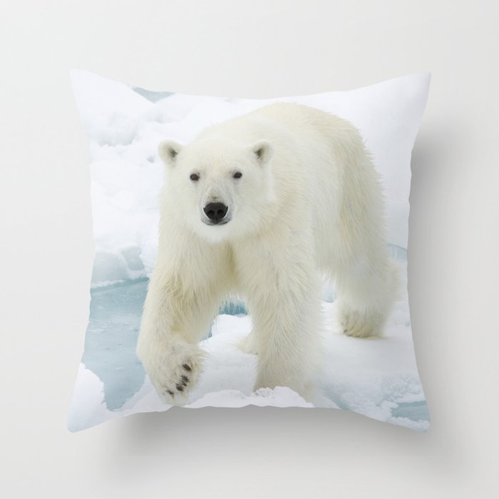 Giant White Polar Bear Walking On Icy Lake Animal / Wildlife / Nature Photograph Throw Pillow and More