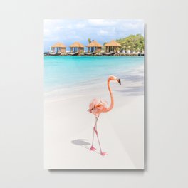 Flamingo Beach, Aruba Metal Print