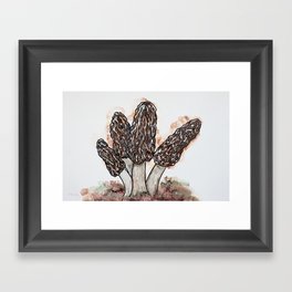 Morel Mushrooms Framed Art Print
