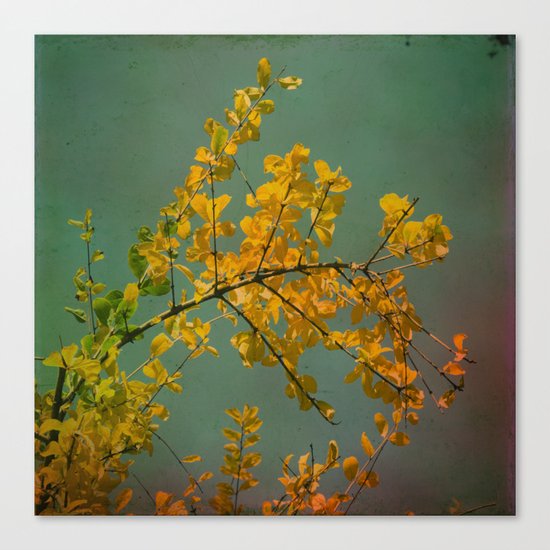 Autumn Canvas Print