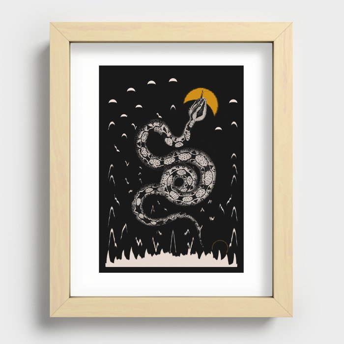 The Snake and the sun  | Boa Constrictor  Recessed Framed Print
