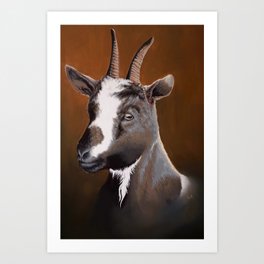 Pygmy Goat Painting Art Print