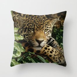 Jaguar - At Rest Throw Pillow