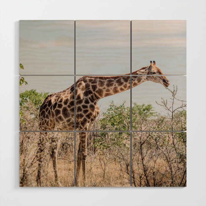 Giraffe in Africa | Wildlife photographer | Wood Wall Art