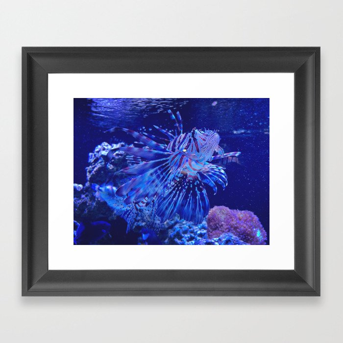 Sea Quest Framed Art Print
