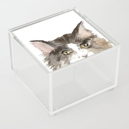 Maine Coon Cat Watercolor Acrylic Box