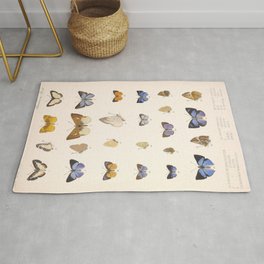 Vintage Hand Drawn Scientific Illustration Insects Butterfly Anatomy Colorful Wings Rug