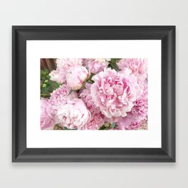 Pink Shabby Chic Peonies - Garden Peony Flowers Wall Prints Home Decor Framed Art Print
