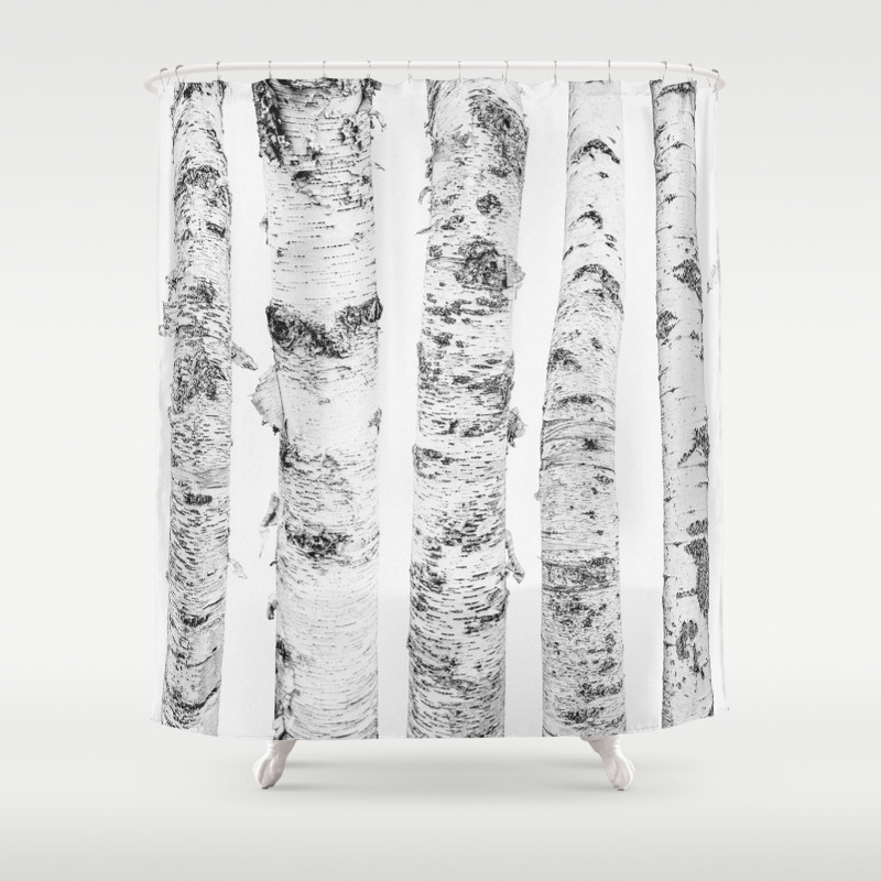 Birch Trees Forest Landscape Photography Minimalism Shower