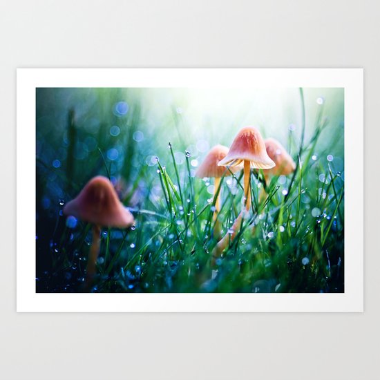 Fairytopia Art Print
