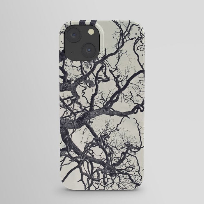 cold fall iPhone Case