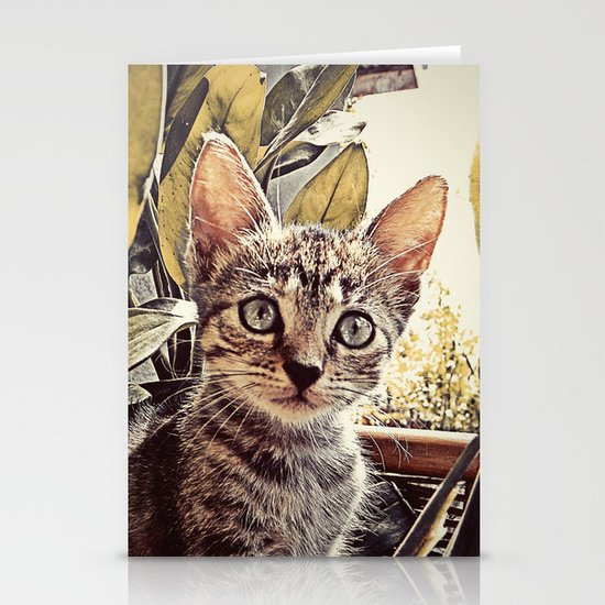 Mouser Stationery Cards