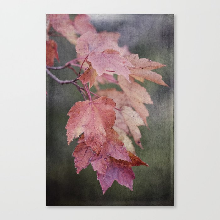 fall cascade Canvas Print
