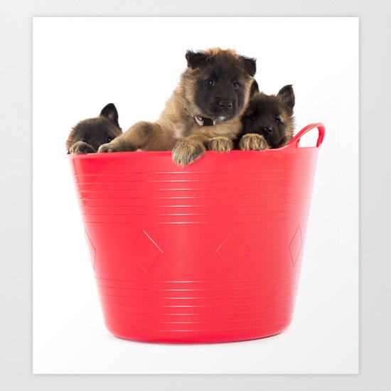 Three puppies in red laundry basket Art Print