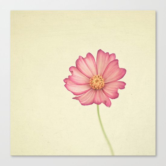 Stay the Same Canvas Print