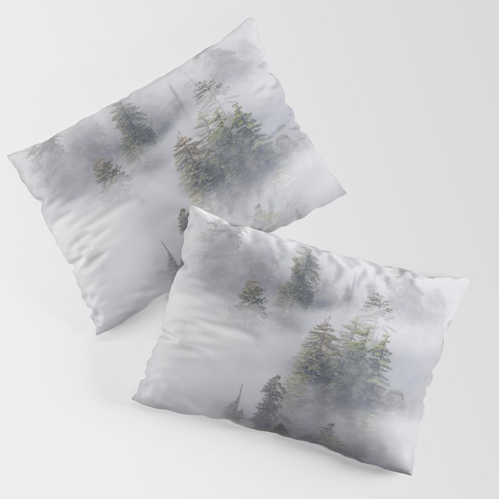 Forest In The Sky - Redwood National Park Foggy Trees Pillow Sham