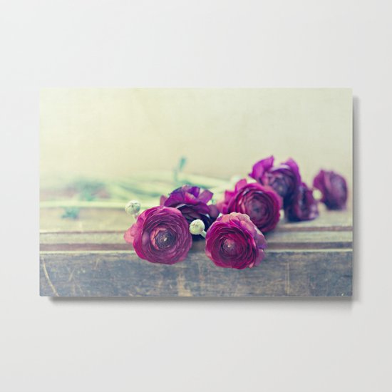 Like Royalty (Purple Ranunculus) Metal Print