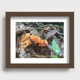Fiery Mushrooms Recessed Framed Print