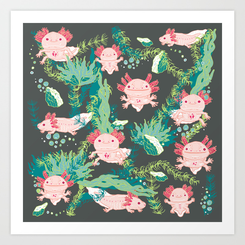 Baby Axolotl Art Print By Anukun Hamala Nhd Society6