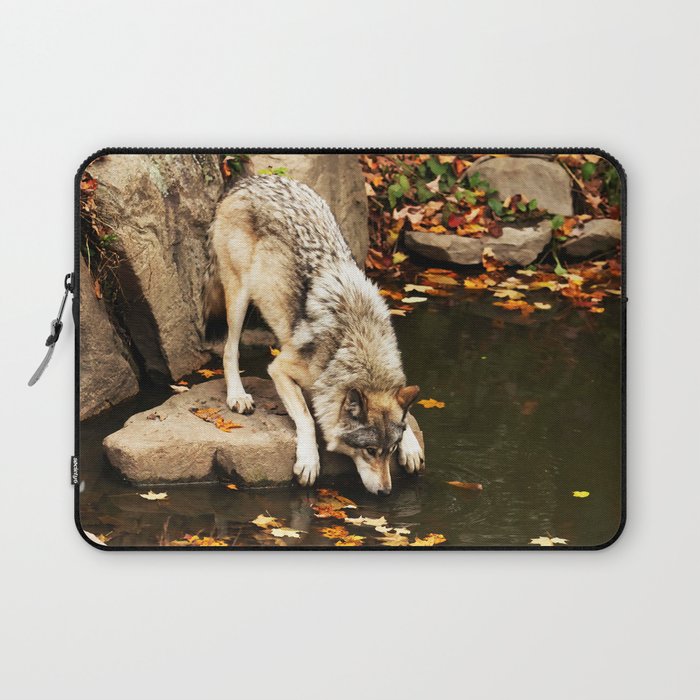 Lone Timber Wolf Grey Canis Lupus 133 Laptop Sleeve