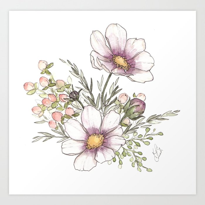 Purple Cosmos Flowers Watercolor Art Print By Katrinacrouch Society6,Plain Drawing Sheets