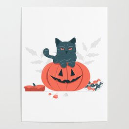 Cute cat on pumpkin Poster