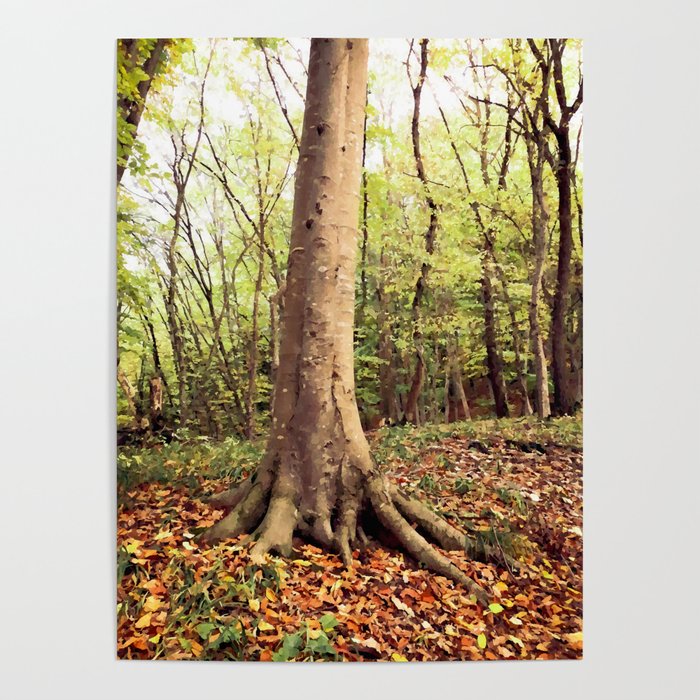 Solid grounding tree roots on the colorful autumn forest soil Poster