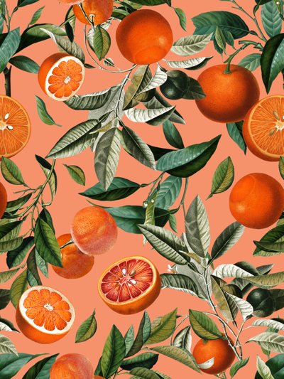 My Society Society6