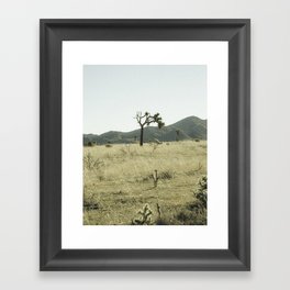 Thee Joshua Tree - Support my small business Framed Art Print
