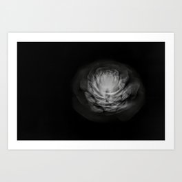 Pine Cone X-Ray Art Print | Seed, Radiograph, Nature, Grey, X Ray, Pinecone, Light, Photo, Natural, Dark 