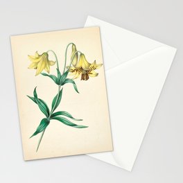 Yellow lily by Clarissa Munger Badger, 1859 (benefitting The Nature Conservancy) Stationery Card