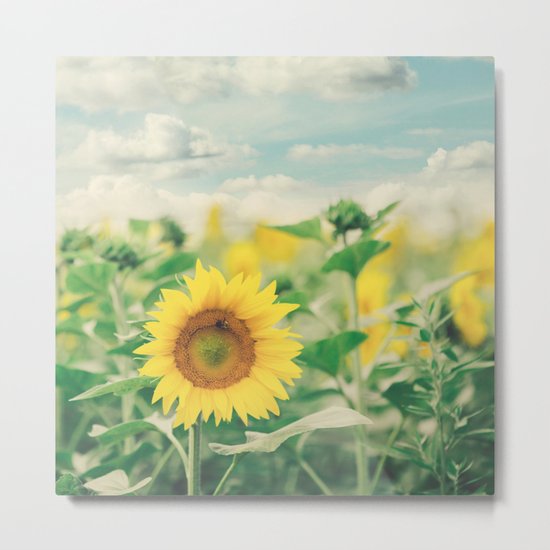 Sunflower Field Metal Print