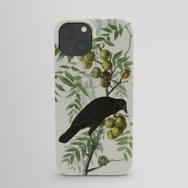 Vintage Crow Illustration iPhone Case