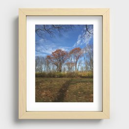 Tree Shadows Recessed Framed Print