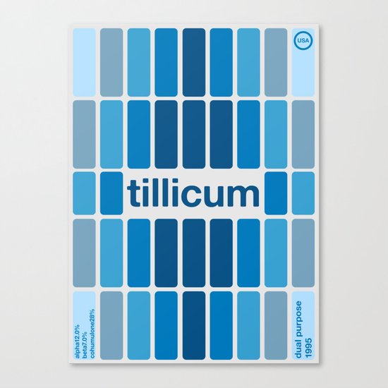 tillicum single hop Canvas Print