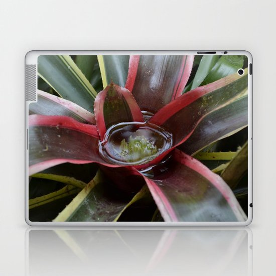 Gathering Water Laptop & iPad Skin