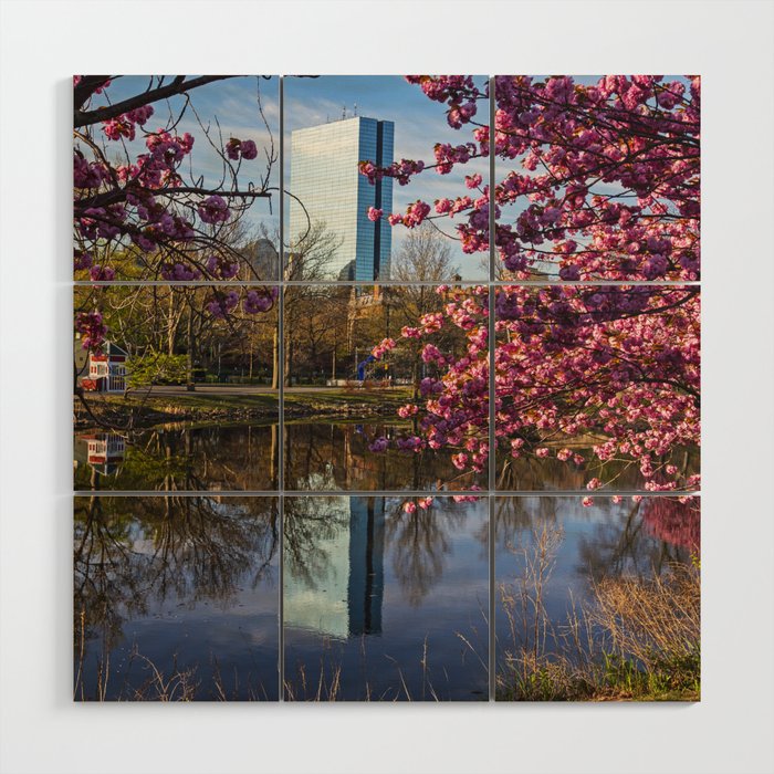 Beautiful Spring Day on the Charles River in Boston Massachusetts Wood Wall Art